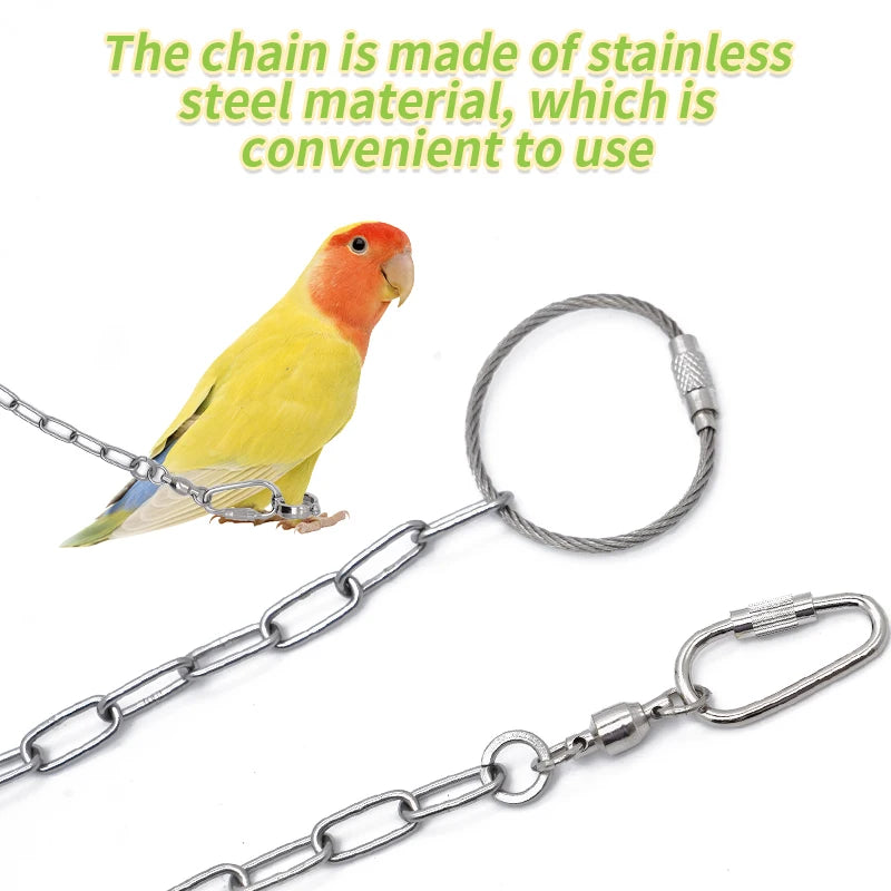 Parrot Leg Ring Stainless Steel Bird Ankle Foot Chain Ring Anti Bite Wire Rope Outdoor Flying Training Accessories Pigeon Supply