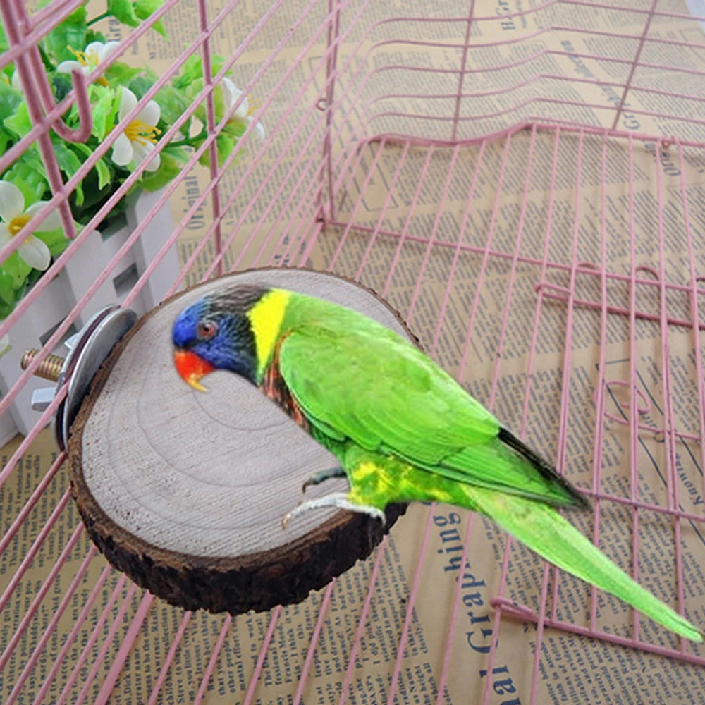 Round Wooden Squirrel Parrot Bird Perch Stand Platform Pet Bird Squirrel Chinchilla Parrot Wooden Pier Diving Platform