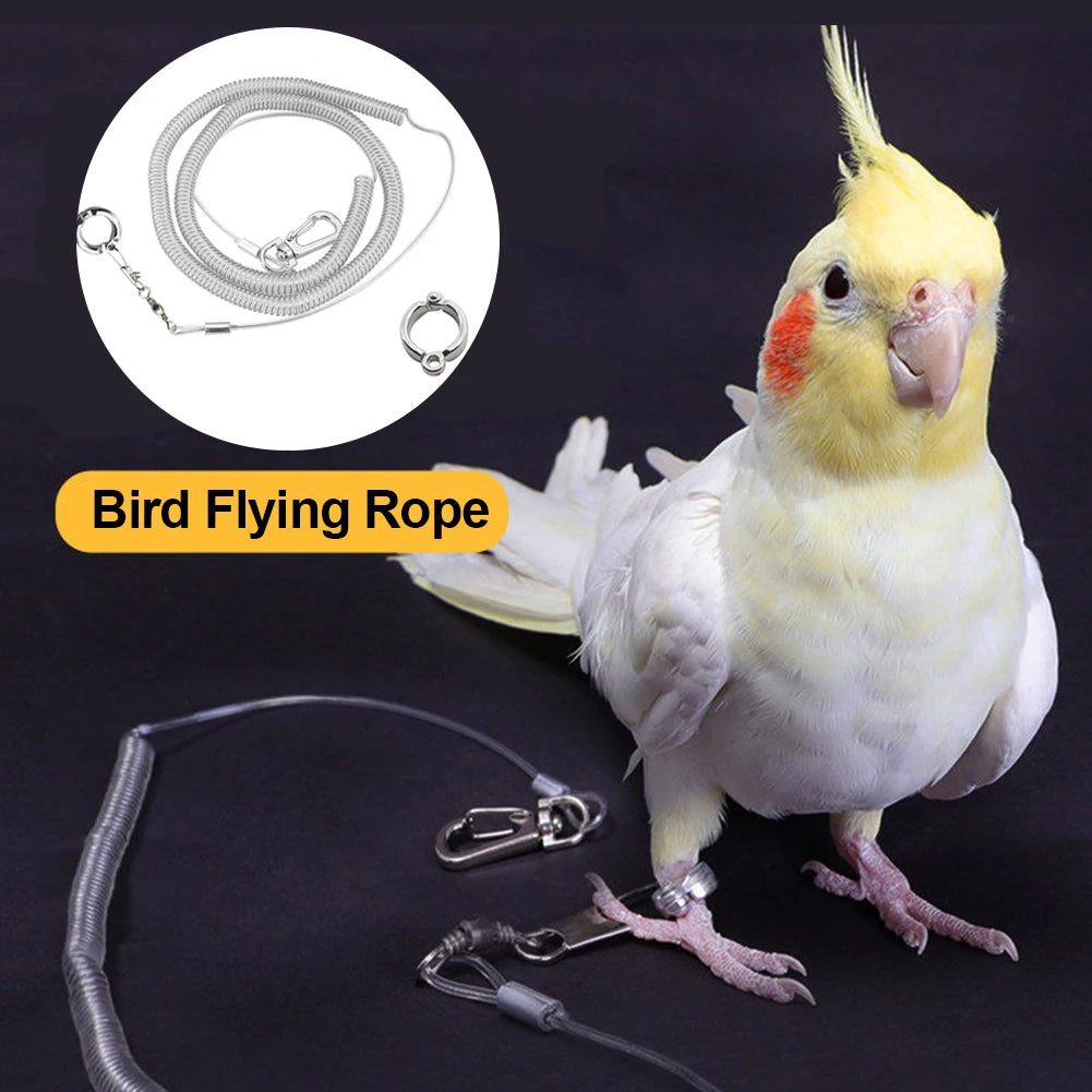 Bird foot Chain Parrot Anti-flying Traction Rope Bird Feet Bracelet Alloy Foot Ring Pet Bird Flying Travel Training Leash