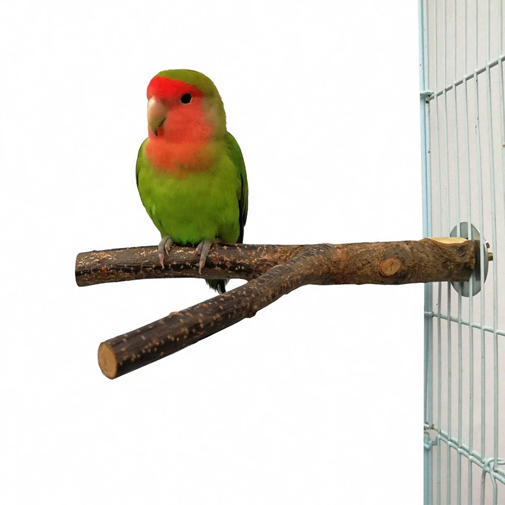 Pet Parrot Branch Perches Stand Wood Rack Simulation Parrot Miniature Landscape Bird Toy Rattle Claw Grinding Supplies Play Toy