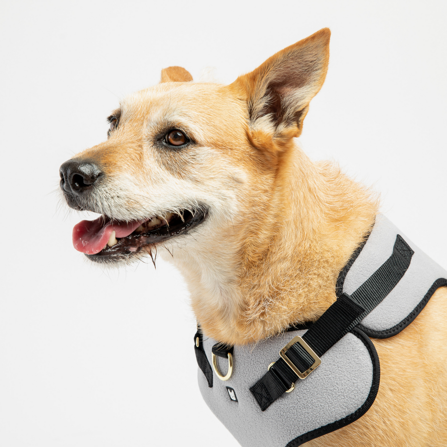 Aquafleece Dog Harness - Grey