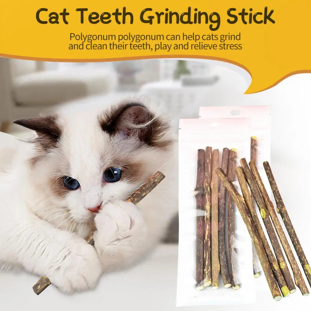 Cat Molar Stick Natural Catnip Teeth Cleaning Toothpaste Silvervine Cat Snack Stick Self Healing Kitten Chew Toy Pet Accessories