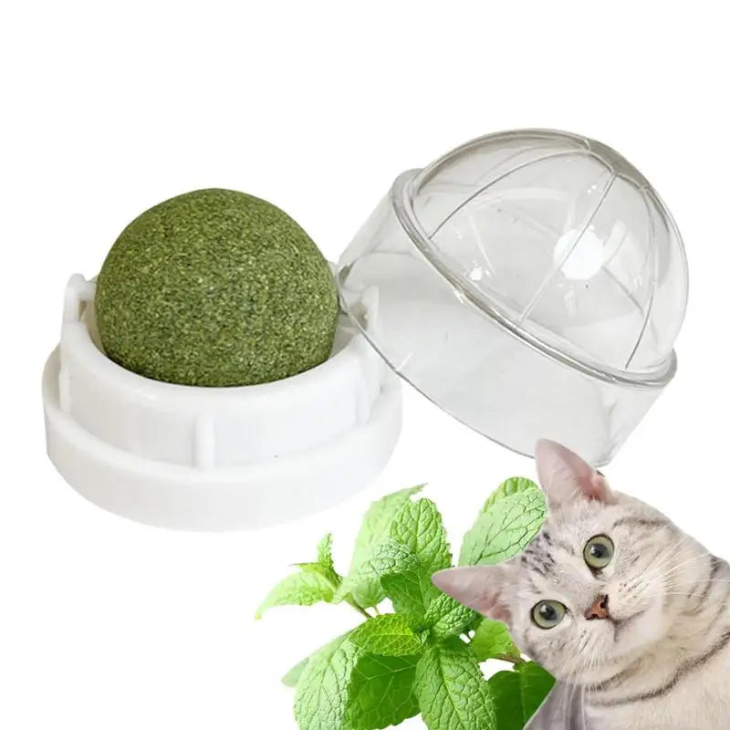 Cat Toys Catnip Wall Ball Clean Mouth Promote Digestion Kitten Candy Licking Snacks Pet Mint Ball Toys For Cats Cat Accessories