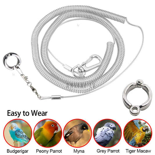 Bird foot Chain Parrot Anti-flying Traction Rope Bird Feet Bracelet Alloy Foot Ring Pet Bird Flying Travel Training Leash