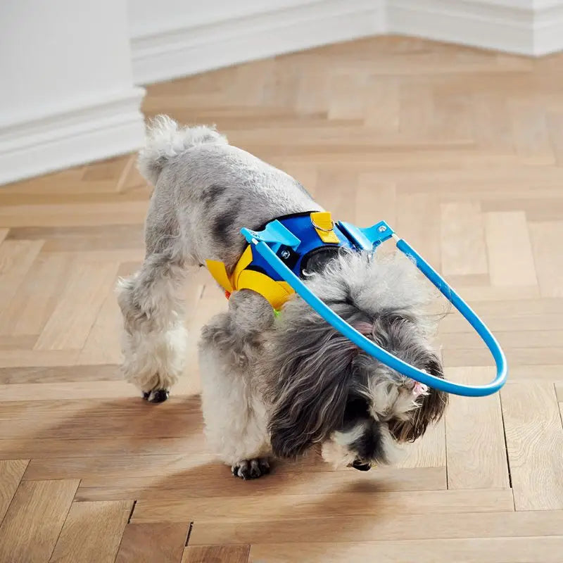 Blind Pet Anti-collision Collar Dog Guide Training Behavior Aids Fit Small Big Dogs Prevent Collision Collars Supplies