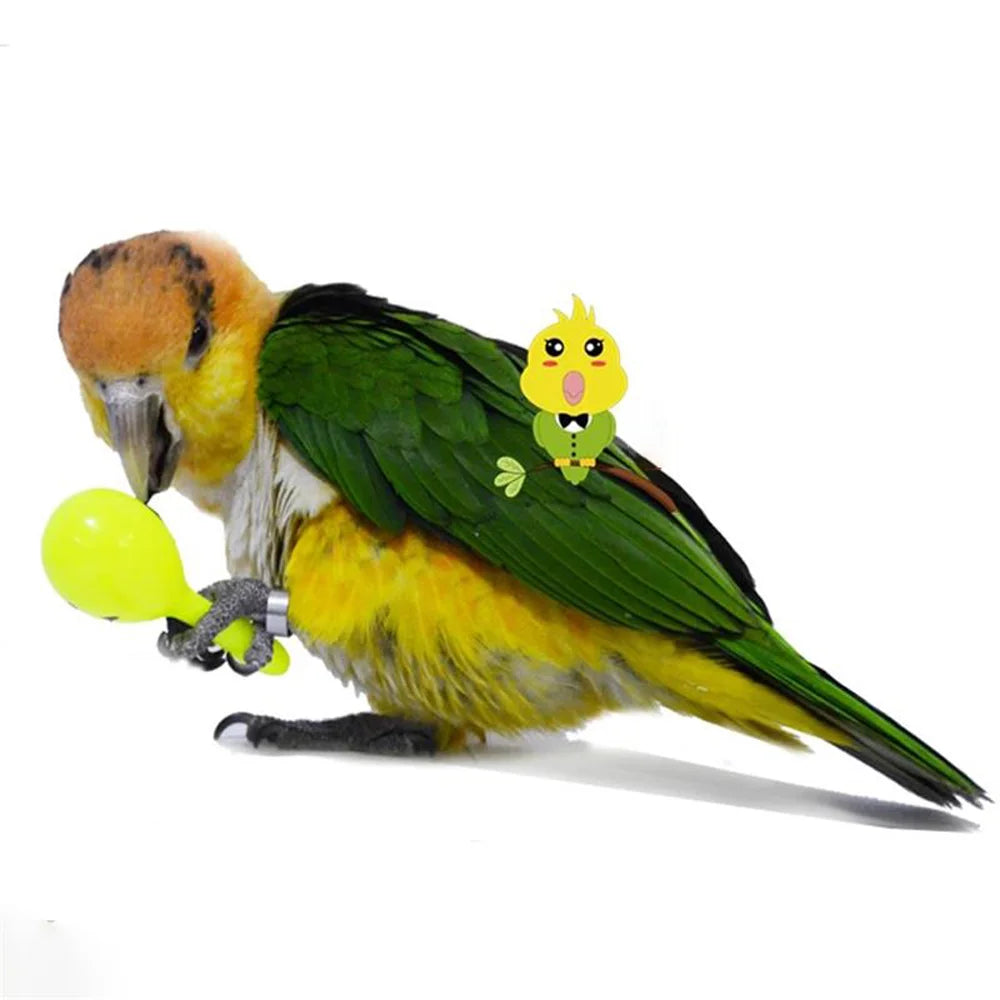 3PCS Parrot Rattle Sand Hammer Sand Ball Bird Bites Wisdom Interactive Training Toys Pet Accessories Bird Parrot Toys Supplies