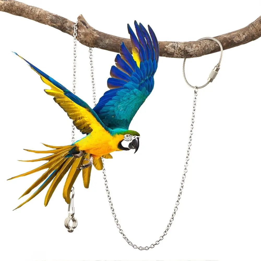 4 Size Outdoor Flying Training Stainless Steel Stand Chain Ankle Foot Ring Bird's Foot Ring Anklet Parrot Foot Chain