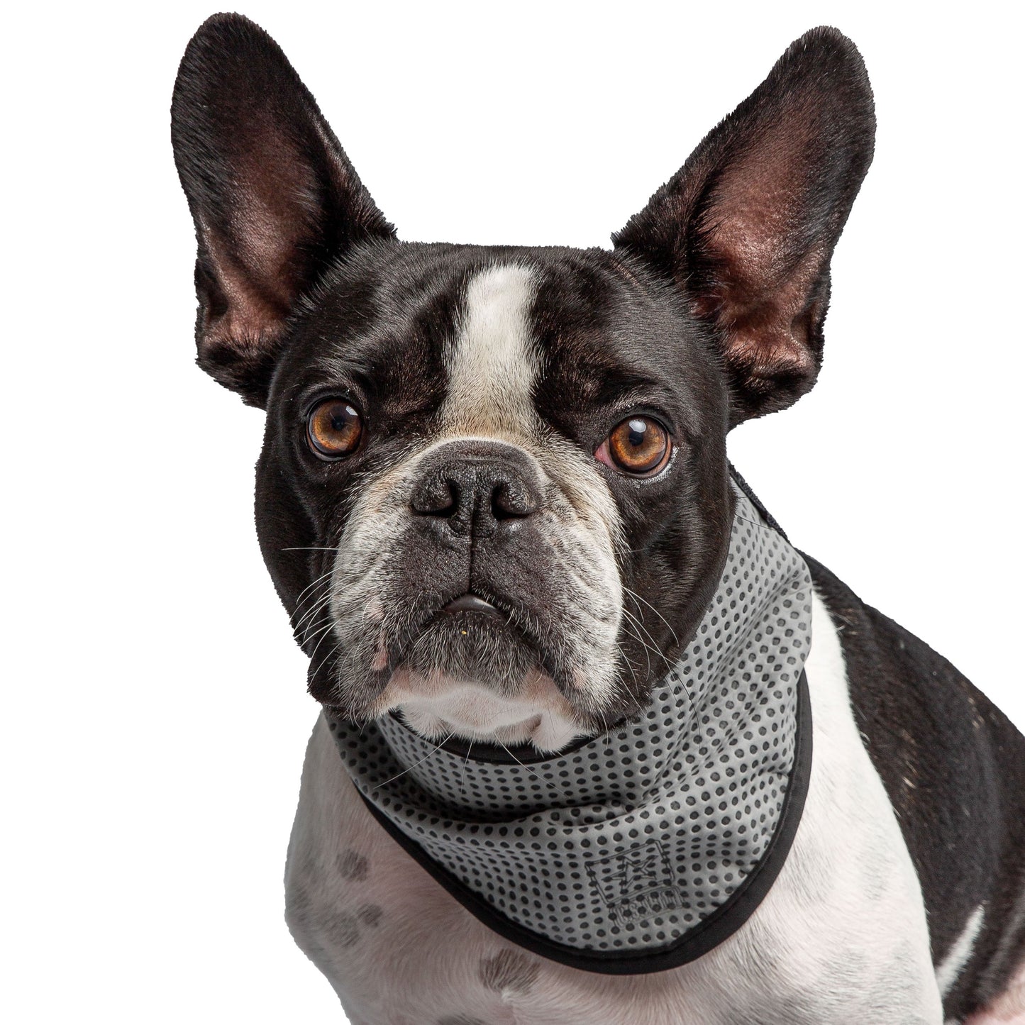 US Army Dog Cooling Bandana - Grey