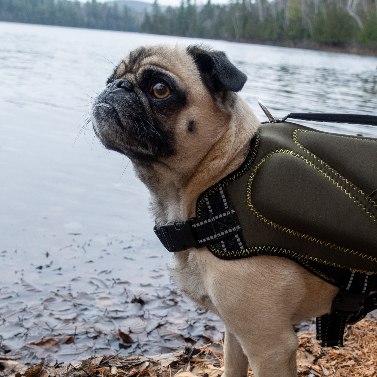 Neoprene Dog Life Jacket-Khaki