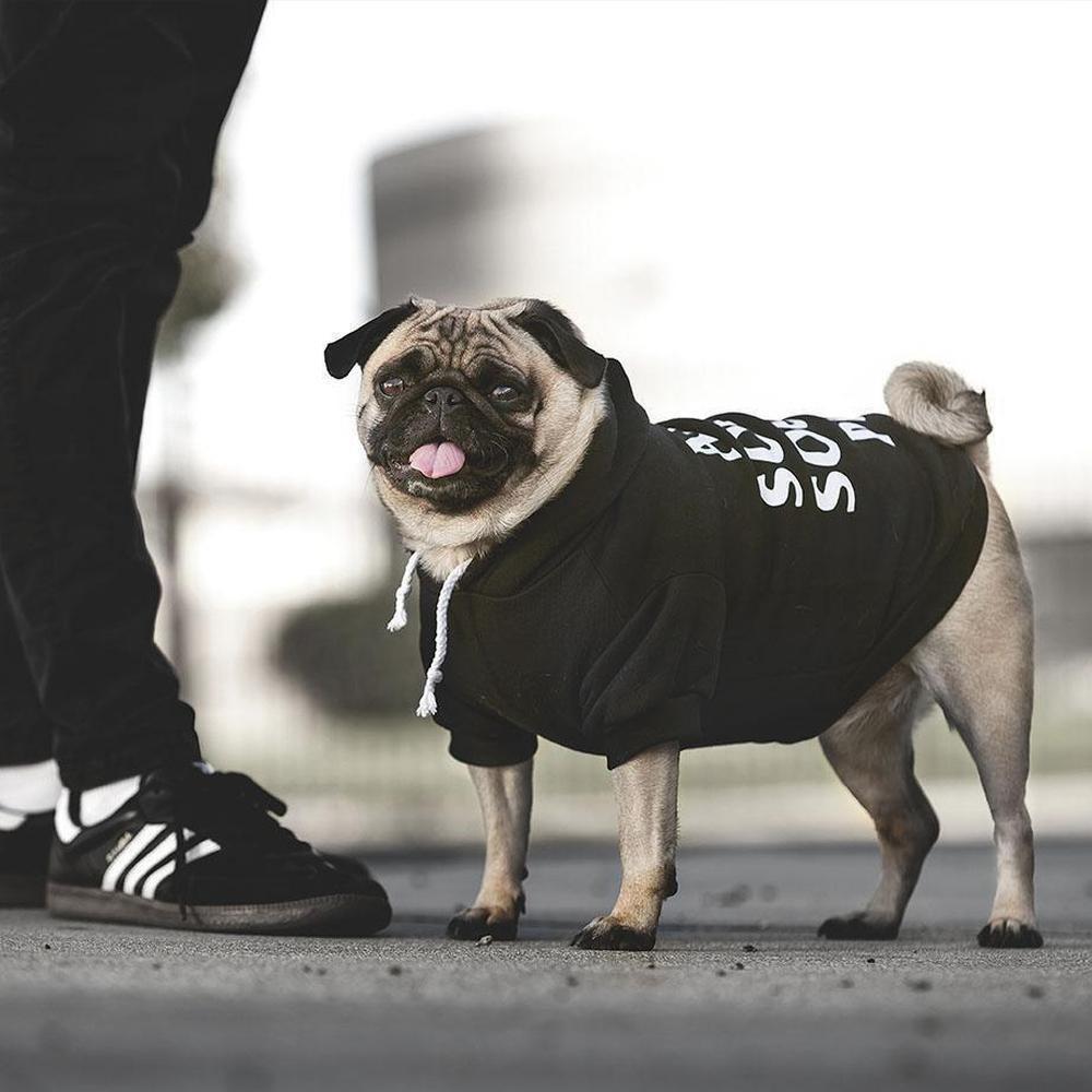 Anti Social Social Pup Hoodie | Dog Clothing