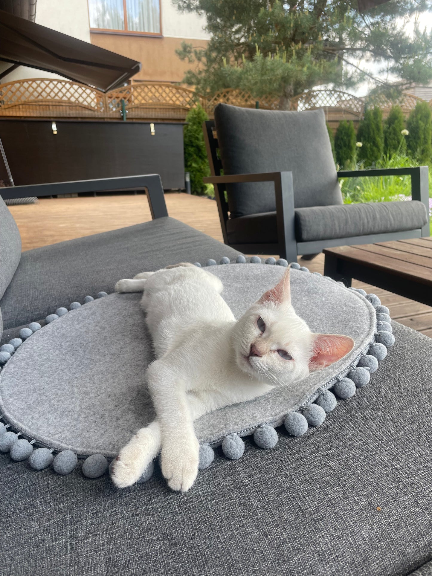 Saveplace® DOUBLE layer felty CAT bed