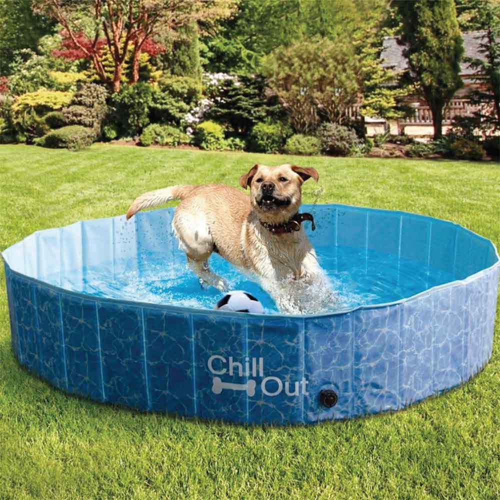 Dog Swimming Pool - Chill Out Plastic Pet Puppy Bath Splash Fun All