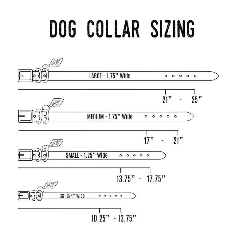 Classic Leather Dog Collars